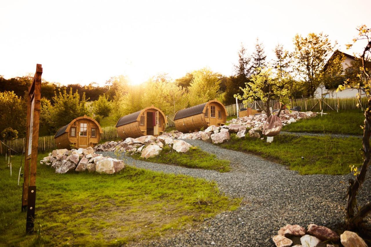 Complex Butoaiele Transilvaniei - Cazare & Spa - Natura - Relaxare Mediaş Dış mekan fotoğraf