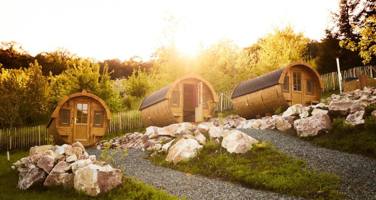 Complex Butoaiele Transilvaniei - Cazare & Spa - Natura - Relaxare Mediaş Dış mekan fotoğraf