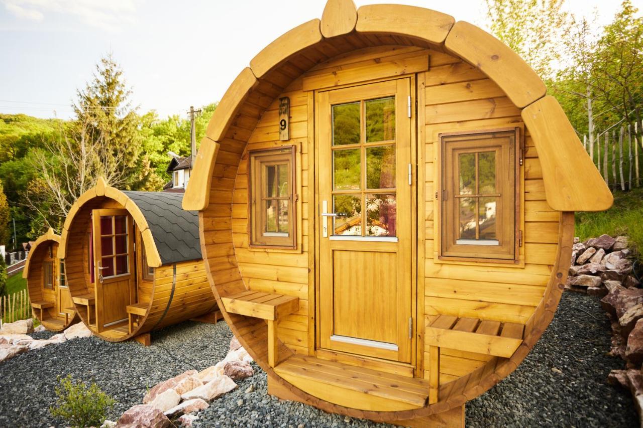 Complex Butoaiele Transilvaniei - Cazare & Spa - Natura - Relaxare Mediaş Dış mekan fotoğraf