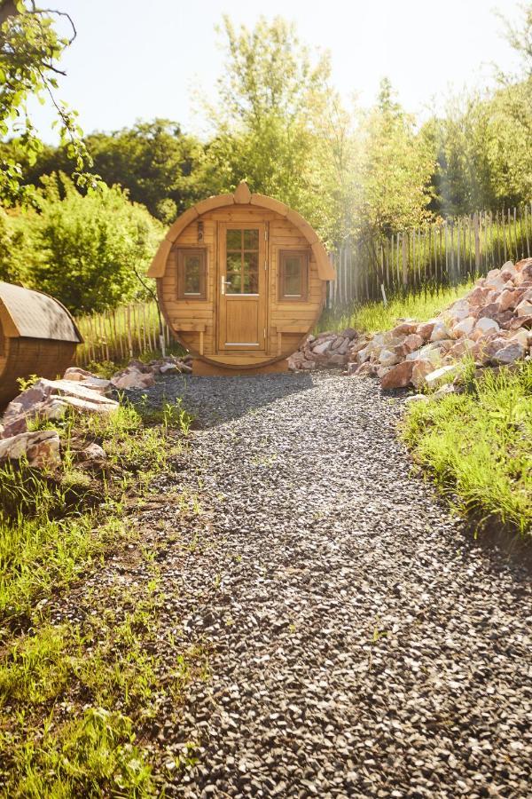 Complex Butoaiele Transilvaniei - Cazare & Spa - Natura - Relaxare Mediaş Dış mekan fotoğraf