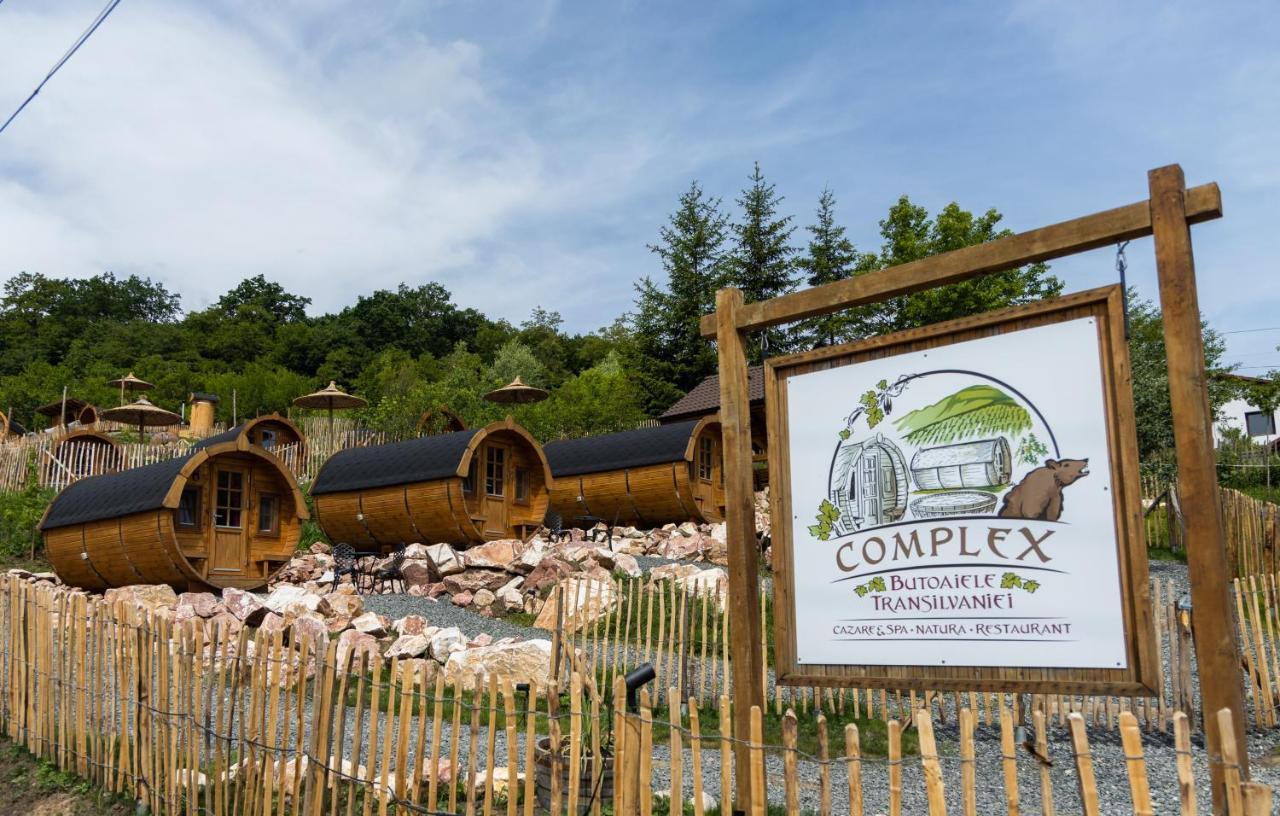 Complex Butoaiele Transilvaniei - Cazare & Spa - Natura - Relaxare Mediaş Dış mekan fotoğraf
