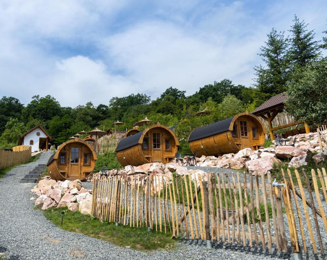 Complex Butoaiele Transilvaniei - Cazare & Spa - Natura - Relaxare Mediaş Dış mekan fotoğraf