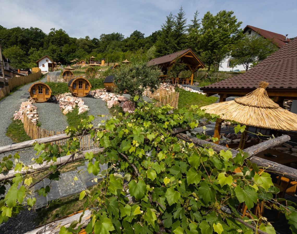Complex Butoaiele Transilvaniei - Cazare & Spa - Natura - Relaxare Mediaş Dış mekan fotoğraf